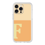 Premium Panel［ Original - initial two tone - F orange ］