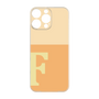 Premium Panel［ Original - initial two tone - F orange ］
