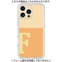 Premium Panel［ Original - initial two tone - F orange ］