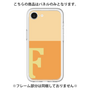 Premium Panel［ Original - initial two tone - F orange ］