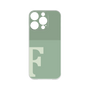 Premium Panel［ Original - initial two tone - F green ］