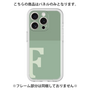 Premium Panel［ Original - initial two tone - F green ］