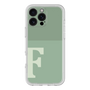 Premium Panel［ Original - initial two tone - F green ］