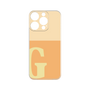 Premium Panel［ Original - initial two tone - G orange ］