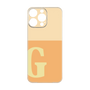 Premium Panel［ Original - initial two tone - G orange ］