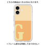 Premium Panel［ Original - initial two tone - G orange ］
