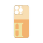 Premium Panel［ Original - initial two tone - H orange ］