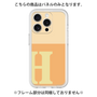 Premium Panel［ Original - initial two tone - H orange ］