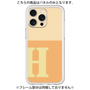 Premium Panel［ Original - initial two tone - H orange ］