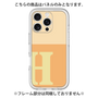 Premium Panel［ Original - initial two tone - H orange ］
