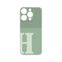Premium Panel［ Original - initial two tone - H green ］