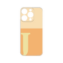 Premium Panel［ Original - initial two tone - J orange ］