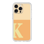Premium Panel［ Original - initial two tone - K orange ］
