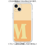 Premium Panel［ Original - initial two tone - M orange ］