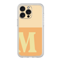 Premium Panel［ Original - initial two tone - M orange ］