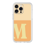 Premium Panel［ Original - initial two tone - M orange ］