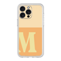 Premium Panel［ Original - initial two tone - M orange ］