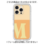 Premium Panel［ Original - initial two tone - M orange ］