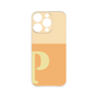Premium Panel［ Original - initial two tone - P orange ］