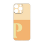 Premium Panel［ Original - initial two tone - P orange ］
