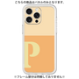 Premium Panel［ Original - initial two tone - P orange ］