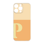 Premium Panel［ Original - initial two tone - P orange ］