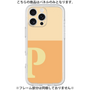 Premium Panel［ Original - initial two tone - P orange ］