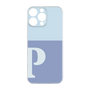 Premium Panel［ Original - initial two tone - P blue ］