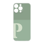 Premium Panel［ Original - initial two tone - P green ］