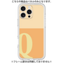 Premium Panel［ Original - initial two tone - Q orange ］