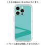 Premium Panel［ Original - initial color - V light green ］