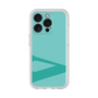 Premium Panel［ Original - initial color - V light green ］
