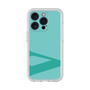 Premium Panel［ Original - initial color - V light green ］