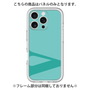 Premium Panel［ Original - initial color - V light green ］