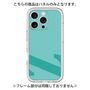 Premium Panel［ Original - initial color - Z light green ］