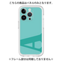Premium Panel［ Original - initial color - A light green ］