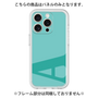Premium Panel［ Original - initial color - A light green ］