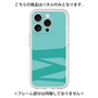 Premium Panel［ Original - initial color - M light green ］