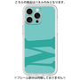 Premium Panel［ Original - initial color - M light green ］