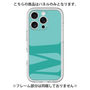 Premium Panel［ Original - initial color - M light green ］
