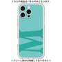 Premium Panel［ Original - initial color - M light green ］