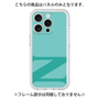 Premium Panel［ Original - initial color - N light green ］