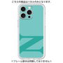 Premium Panel［ Original - initial color - N light green ］