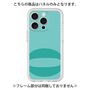 Premium Panel［ Original - initial color - O light green ］