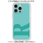 Premium Panel［ Original - initial color - R light green ］