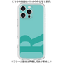 Premium Panel［ Original - initial color - R light green ］