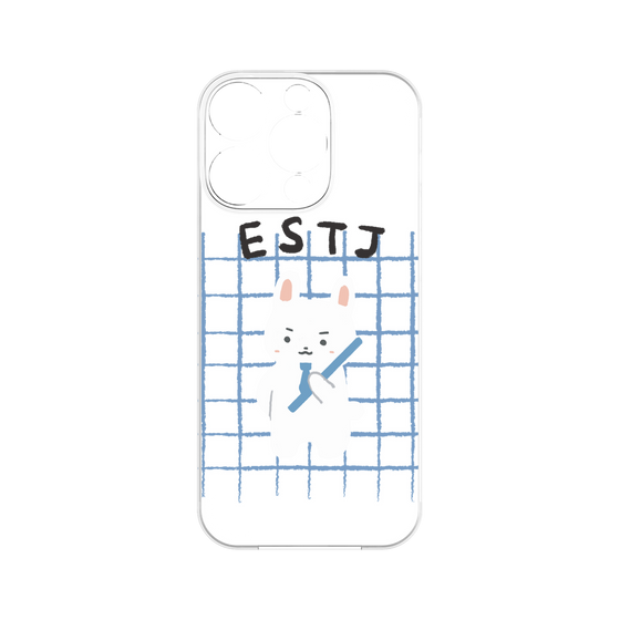 Premium Panel［ Original - ESTJ Executive - Character ］