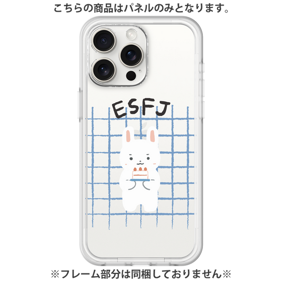 Premium Panel［ Original - ESFJ Consul - Character ］