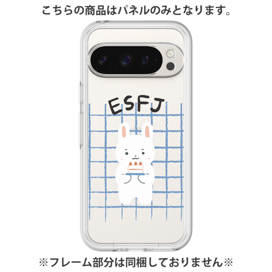 Premium Panel［ Original - ESFJ Consul - Character ］