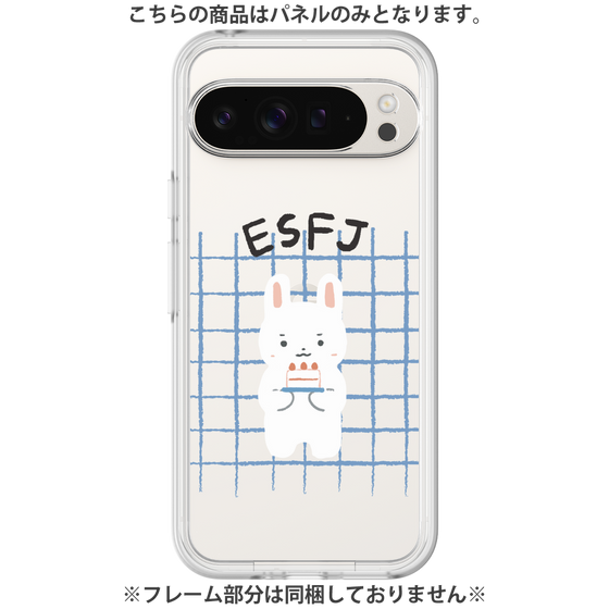 Premium Panel［ Original - ESFJ Consul - Character ］